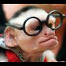 Animal Avatar picture
