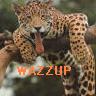 Animal Avatar picture