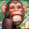 Animal Avatar picture