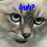 Cat Avatar picture
