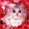 Cat Avatar   