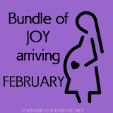 Bundle Of Joy February Tumblr Comment