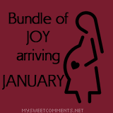 Bundle Of Joy January Tumblr Comment