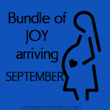 Bundle Of Joy September Tumblr Comment