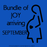Bundle Of Joy September picture