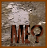 Me picture