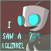 Squirrel Tumblr Comment