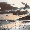 Summer Beach picture