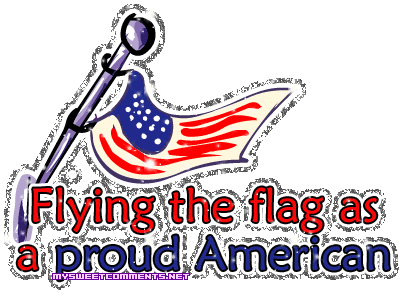 Flying Flag Proud picture