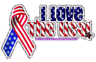 Love The Usa picture