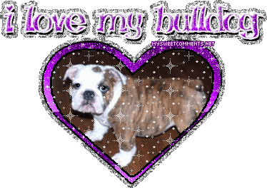 Bulldog