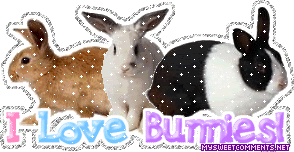 Bunnies