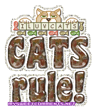 Cats Rule picture