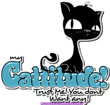 Cattitude picture