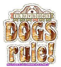 Dogs Rule picture