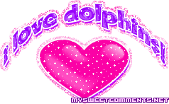 Dolphins picture