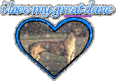 Greatdane picture