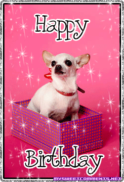 Birthday Chihuahua picture