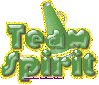 Team Spirit picture