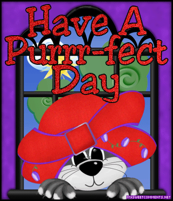 Purrrfect Day
