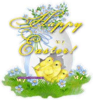 Yellow Chicks picture