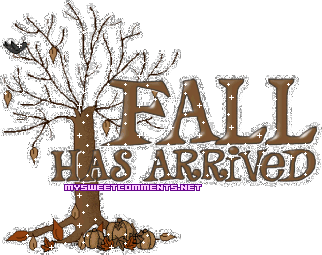 Fall Has Arrived