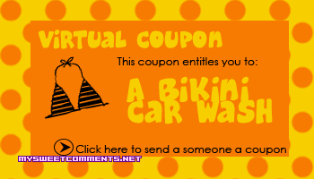 Bikini Car Wash picture