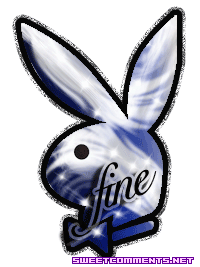 Blue Fine Bunny picture