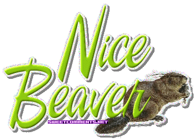 Nice Beaver picture