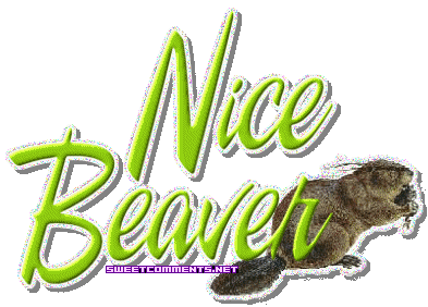 Nice Beaver