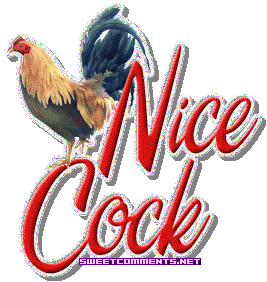 Nice Cock picture