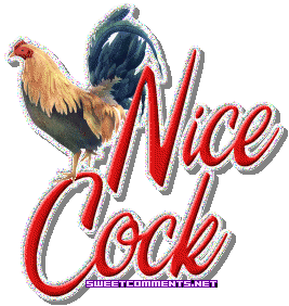 Nice Cock