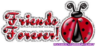 Ladybug Friends Forever picture