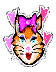 Cat picture