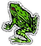 Frog  