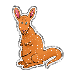 Kangaroo picture