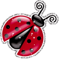 Ladybug picture