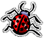 Ladybug  