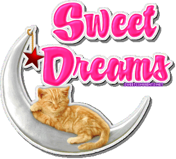 Sweetdreams Cat picture
