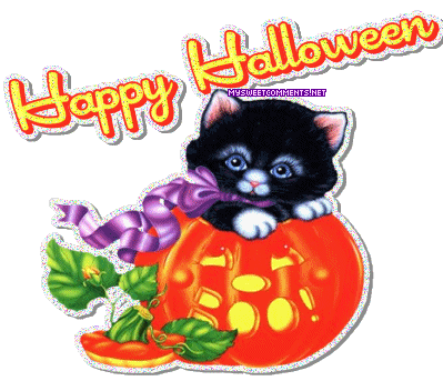 Cat Halloween picture
