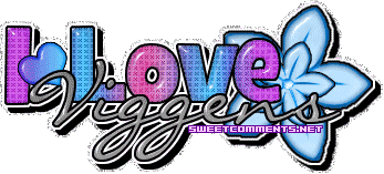 Viggens picture