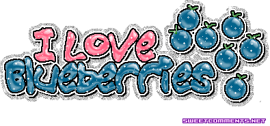 I Love Blueberries