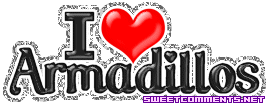 I Love Armadillos