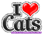 I Love Cats picture