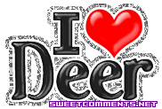 I Love Deer