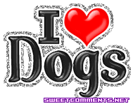 I Love Dogs picture