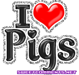 I Love Pigs picture