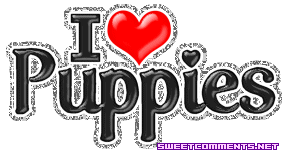 I Love Puppies picture