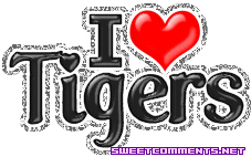 I Love Tigers picture