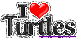 I Love Turtles picture